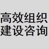 “高效組織建設”咨詢項目啟動